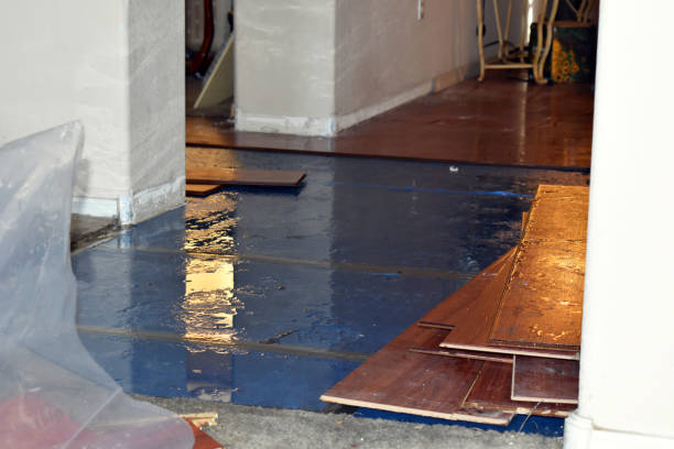 Professional Burst Pipe Cleanup technician working in Peterborough, NH